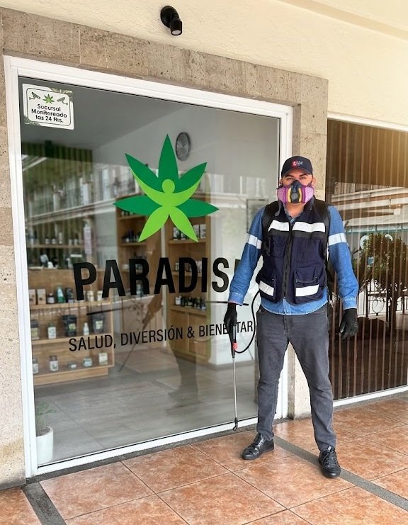 Profesional realizando servicio de control de plagas